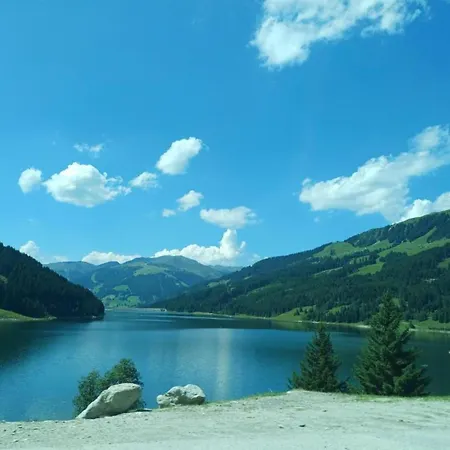 Detached Alpine With Sauna Wald im Pinzgau