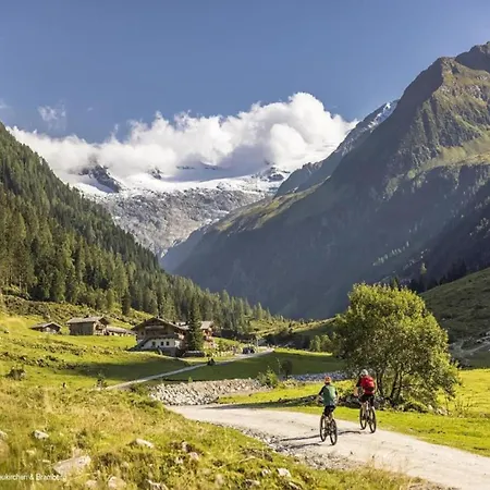 Detached Alpine With Sauna