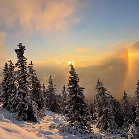 In Koenigsleiten By Zillertal Arena 샬레